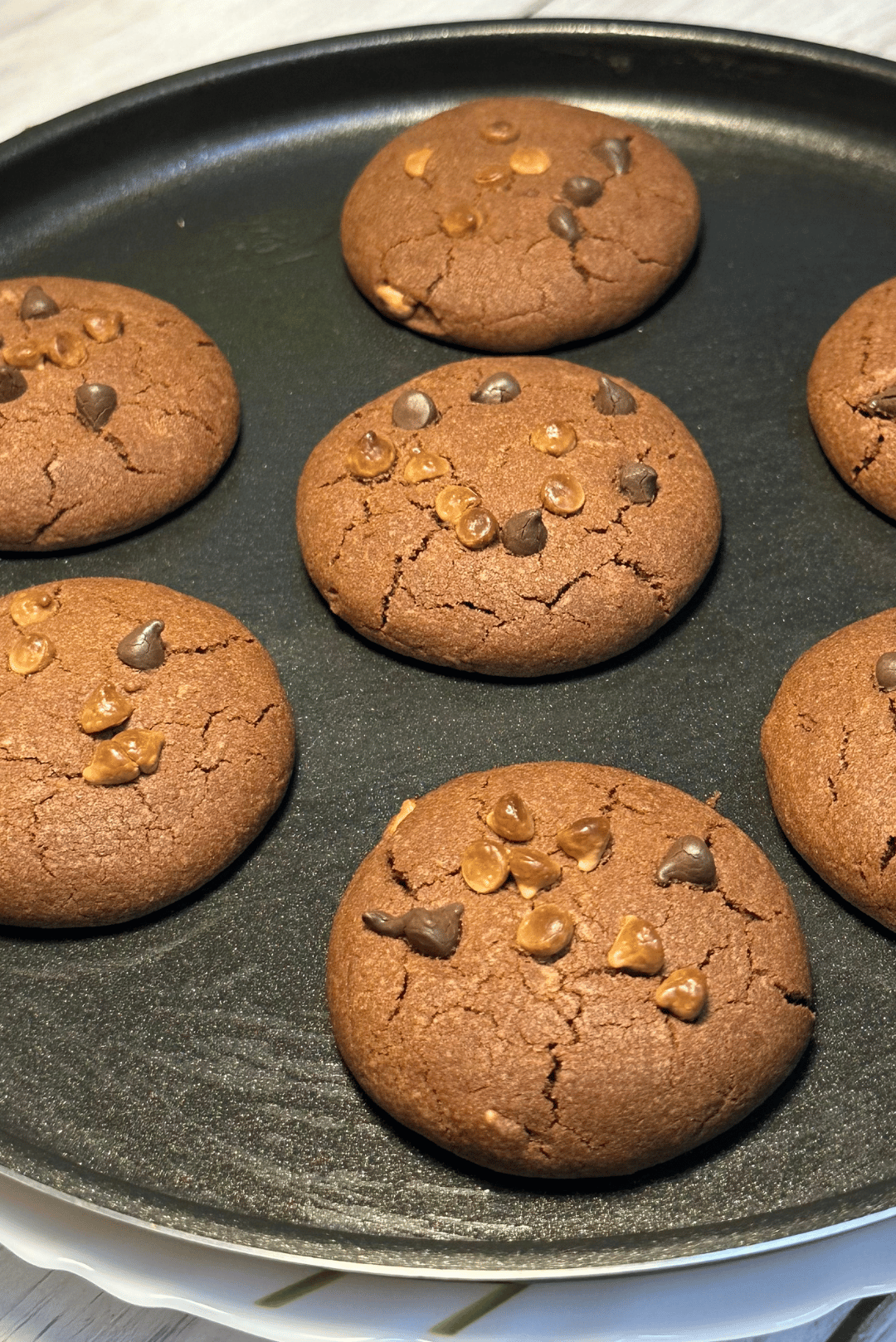 Choco-chip cookie