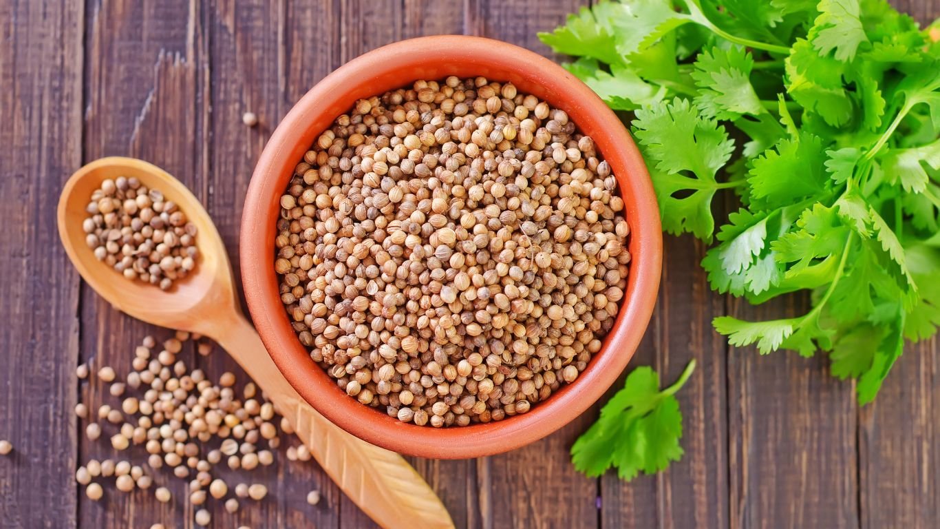 Cilantro vs Coriander - Usage, benefits
