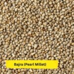 Bajra (Pearl Millet)