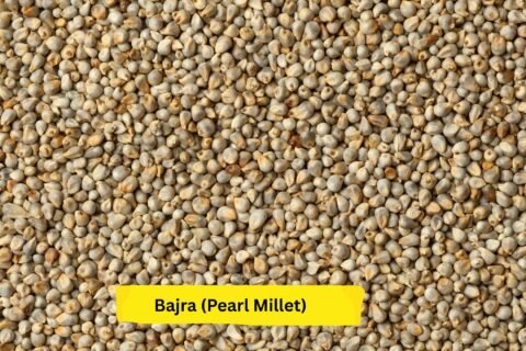 Bajra (Pearl Millet)