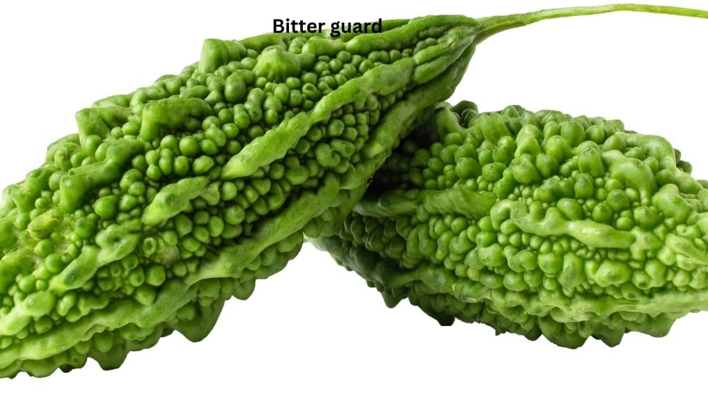 Bitter guard