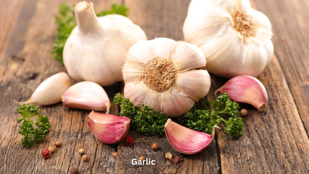 Garlic