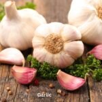 Garlic