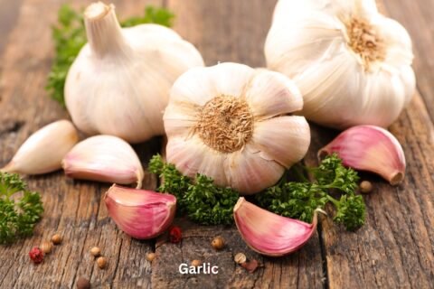 Garlic