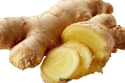 Ginger