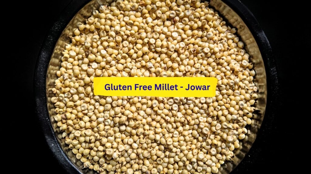 Gluten Free Millet - Jowar