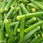 Okra (Bhindi)