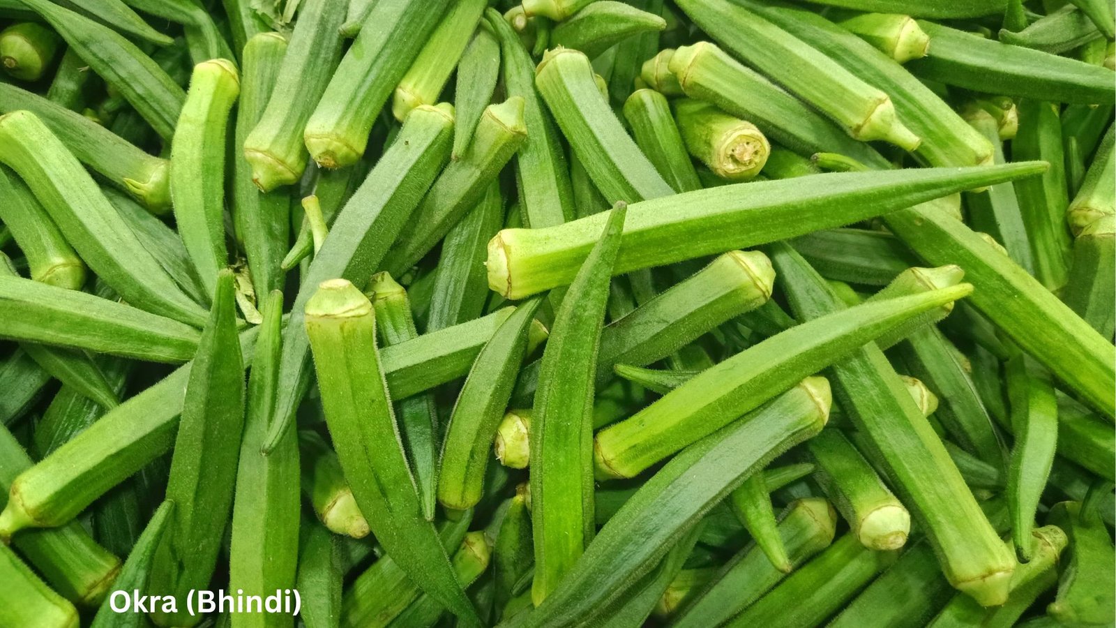 Okra (Bhindi)