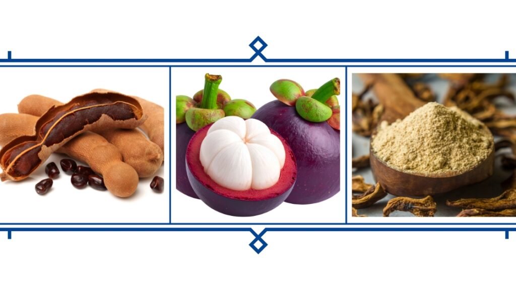 Tamarind,Kokum, Amchur