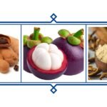 Tamarind,Kokum, Amchur