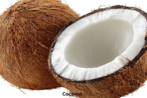 coconut