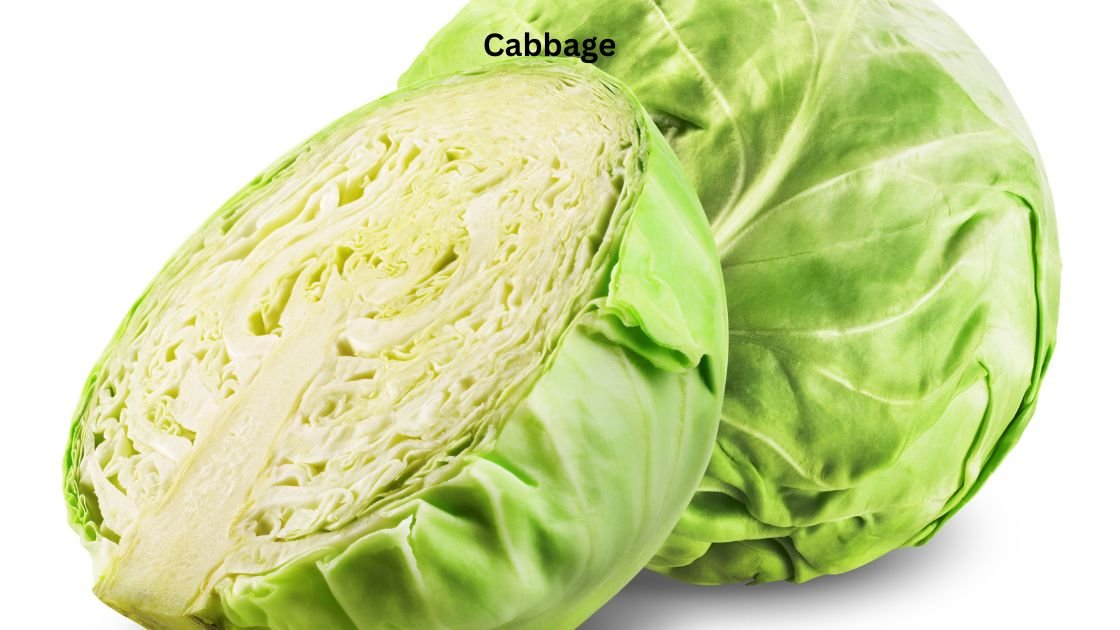 Cabbage
