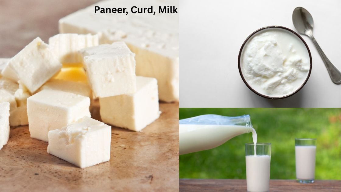Paneer, Curd, Milk